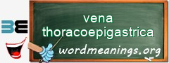 WordMeaning blackboard for vena thoracoepigastrica
